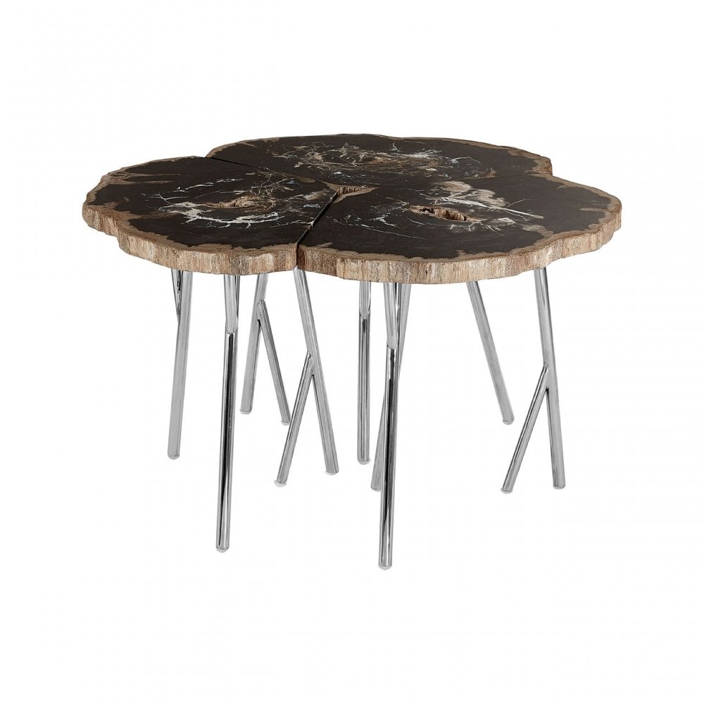 Artefacto Light Petrified Wood Coffee Table, Petrified Wood, Stainless Steel