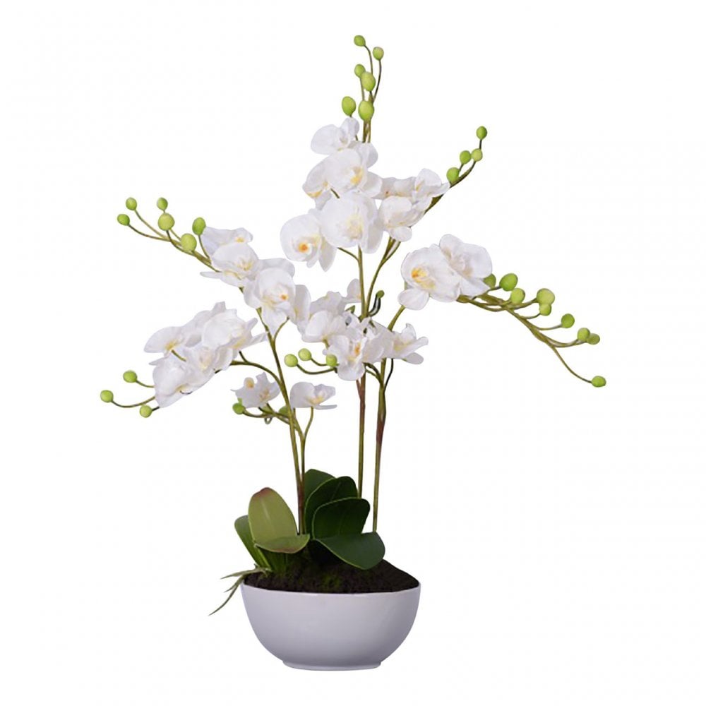 White Orchid Plant with White Ceramic Pot, Ceramic, Fabric, Foam, White