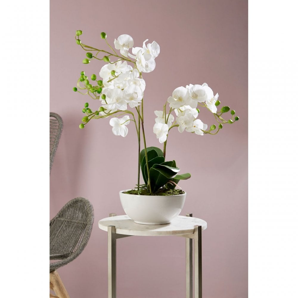 White Orchid Plant with White Ceramic Pot, Ceramic, Fabric, Foam, White