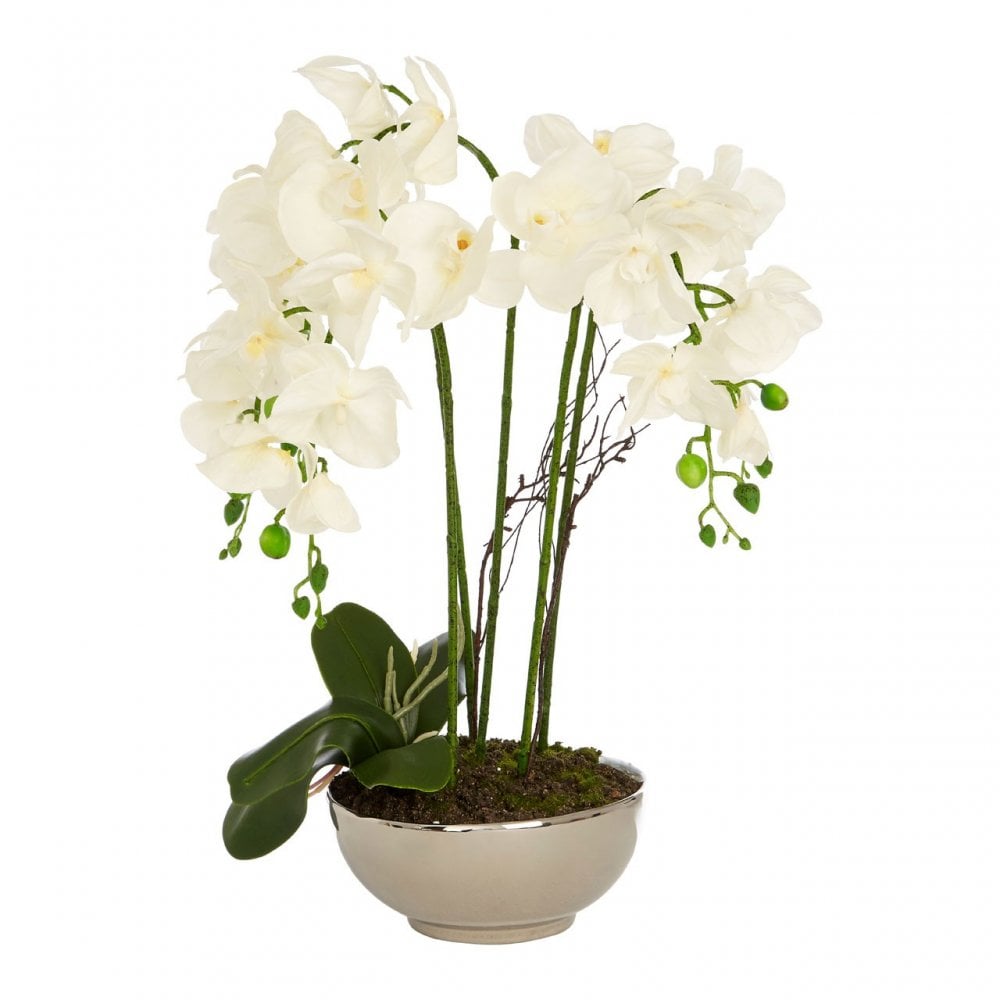 White Orchid Plant Natural Ceramic Pot, White