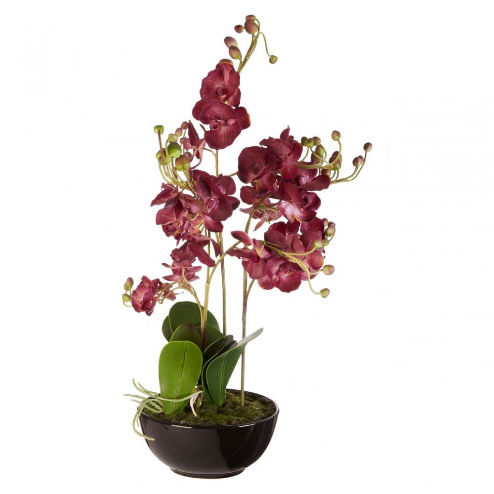 Purple Orchid Plant with Black Ceramic Pot, Ceramic, Fabric, Foam, Purple