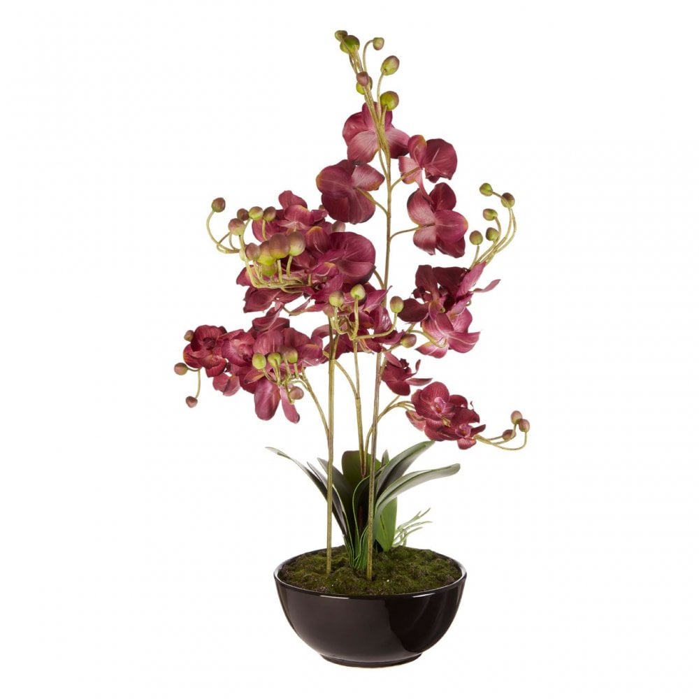 Purple Orchid Plant with Black Ceramic Pot, Ceramic, Fabric, Foam, Purple