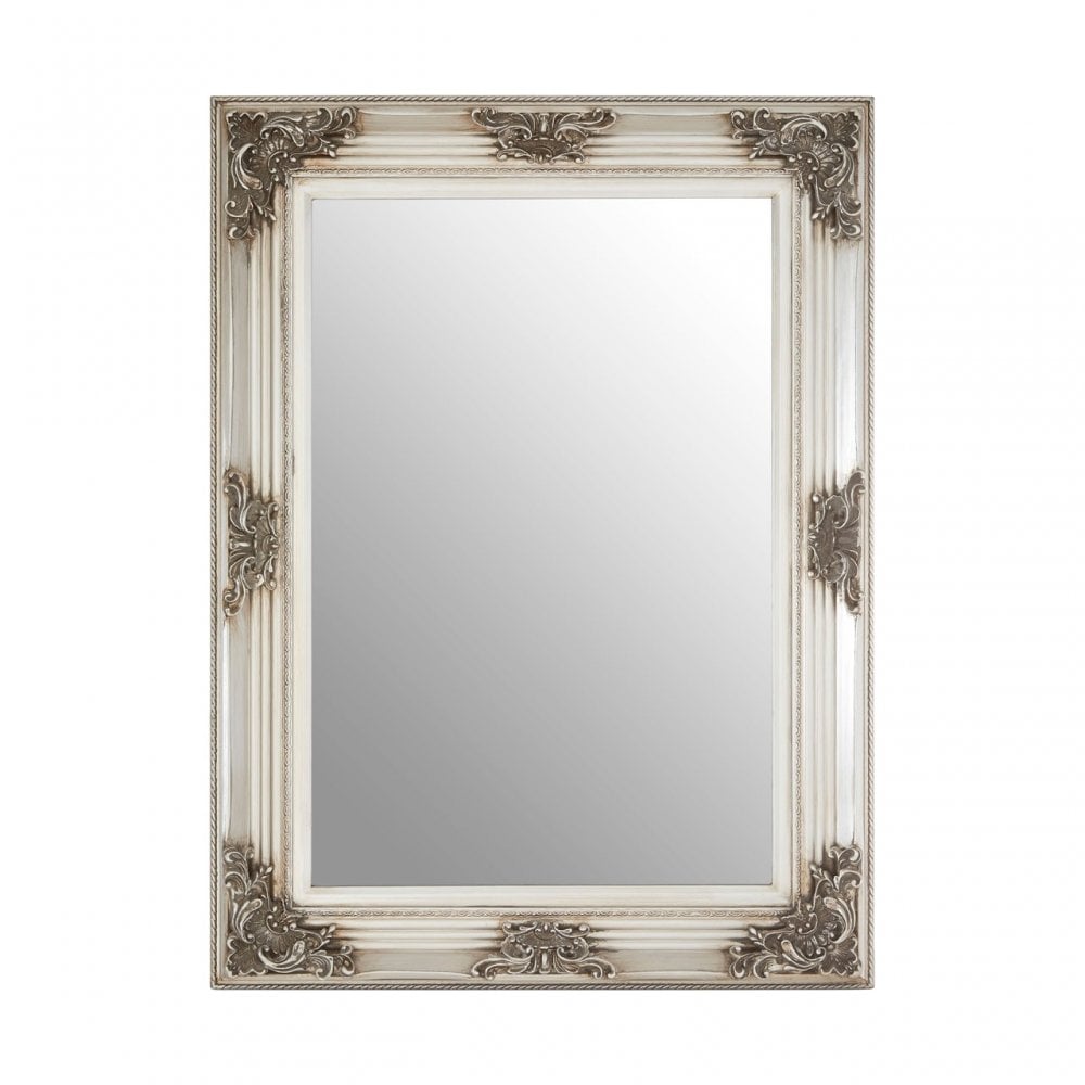 Bourbin Rectangle Silver Wall Mirror, Mirrored Glass, Resin, Silver