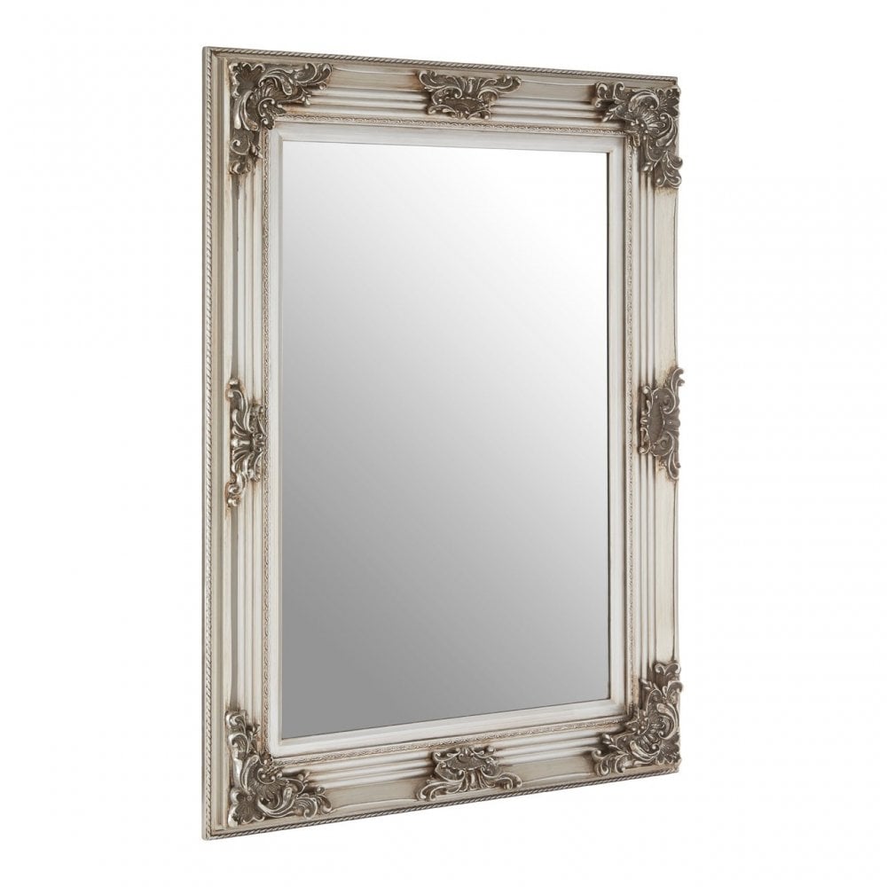 Bourbin Rectangle Silver Wall Mirror, Mirrored Glass, Resin, Silver