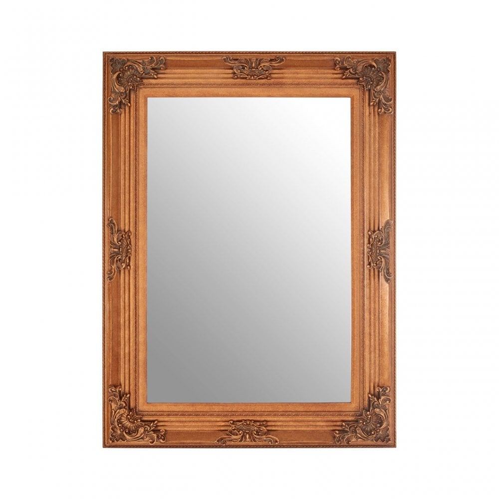 Bourbin Rectangle Gold Wall Mirror, Mirrored Glass, Resin, Gold