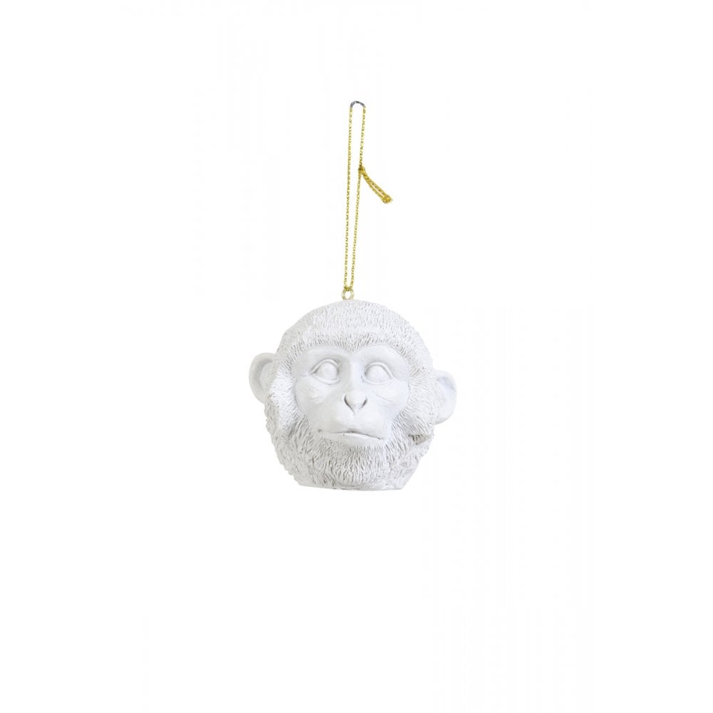 Ornament Hanging 8x6.5x8.5cm Monkey Matted White