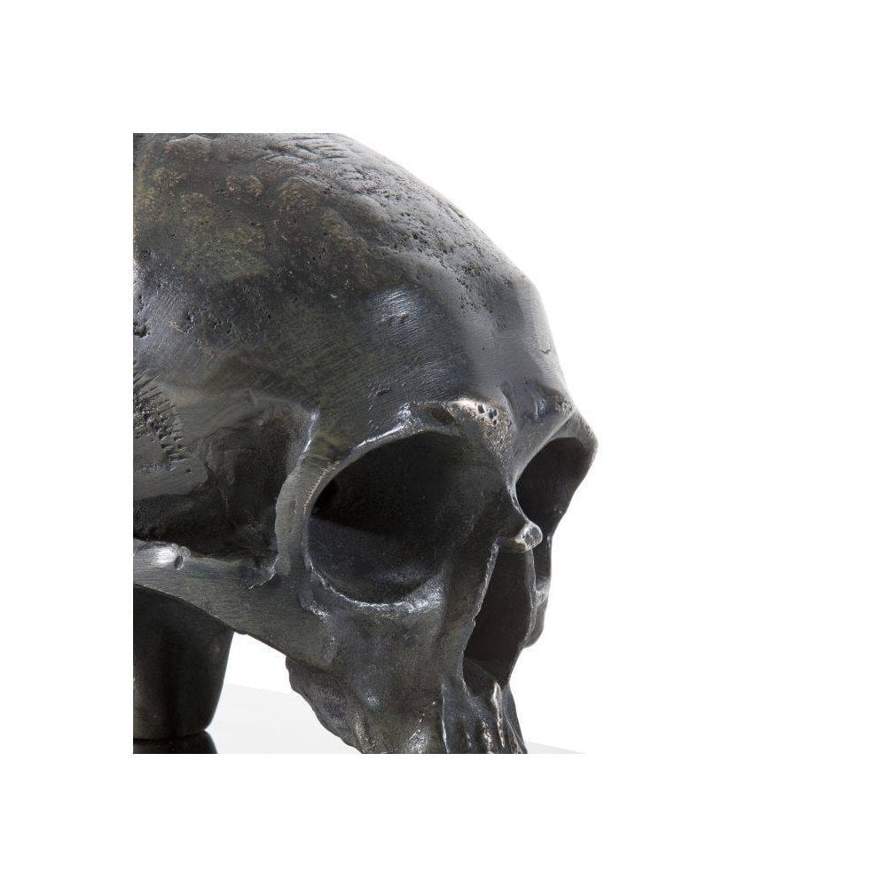 Bookend Skull set of 2, Nickel Finish, Antique Brass Finish
