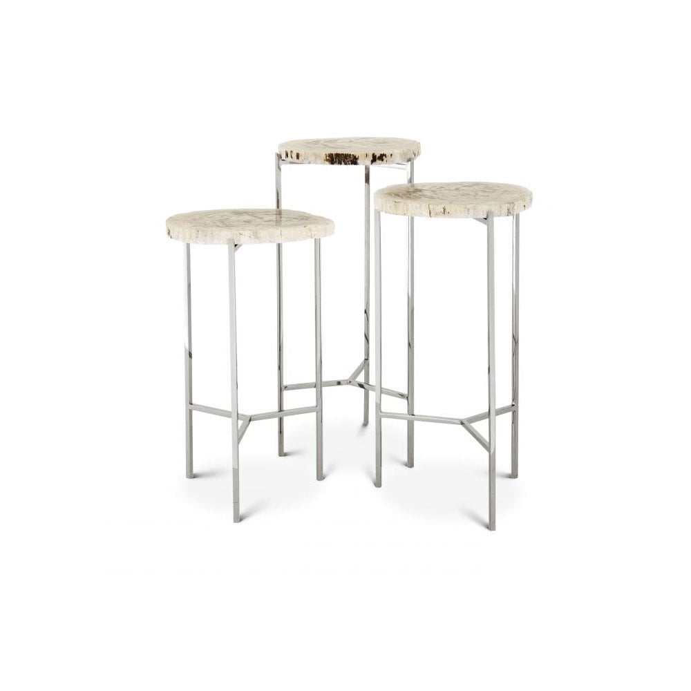 Side Table Newson set of 3, Polished Stainless Steel, Petrified Wood