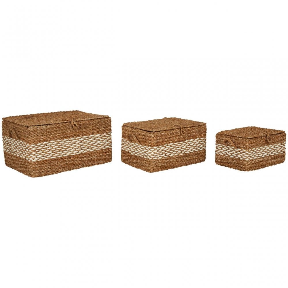 Set Of 3 Rectangular Seagrass Baskets