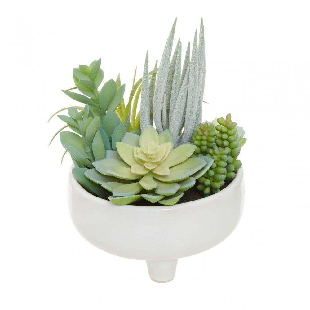 Fiori Mixed Succulents In Large Ceramic Pot