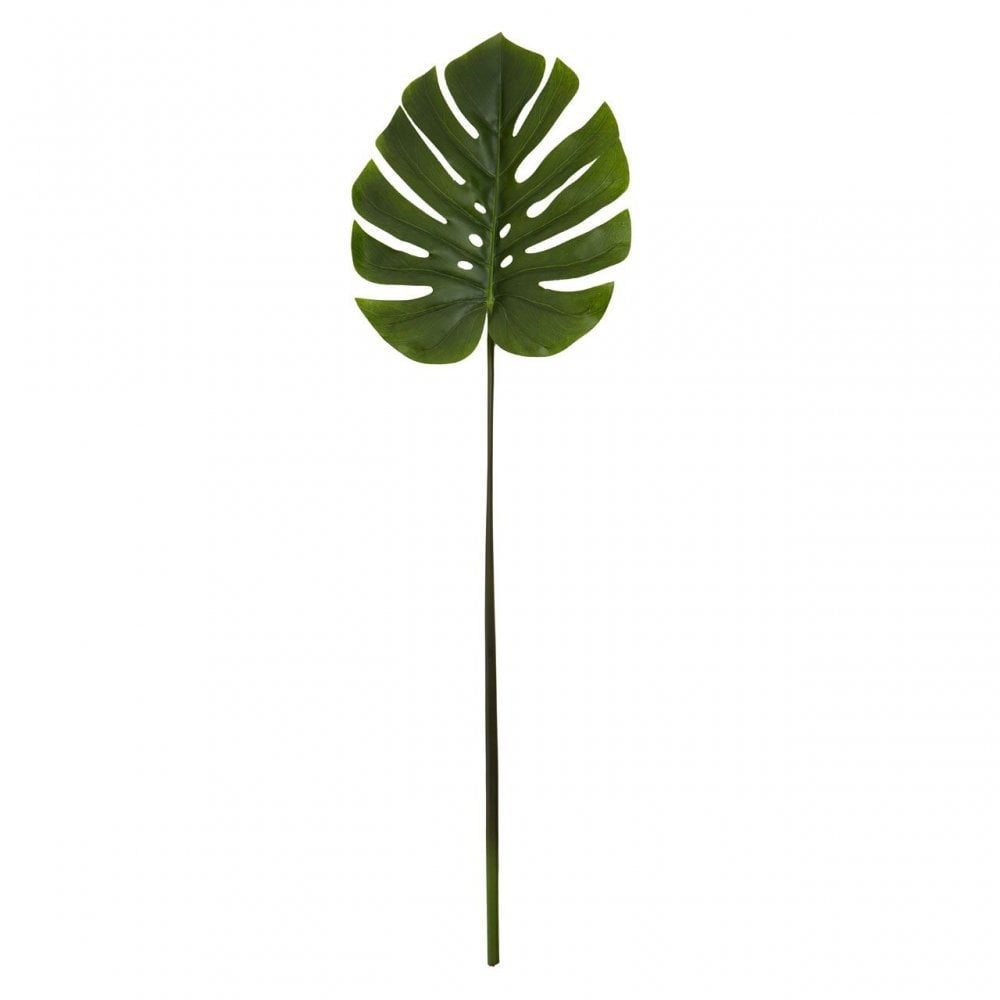 Fiori Green Stem Monstera Palm - 109Cm