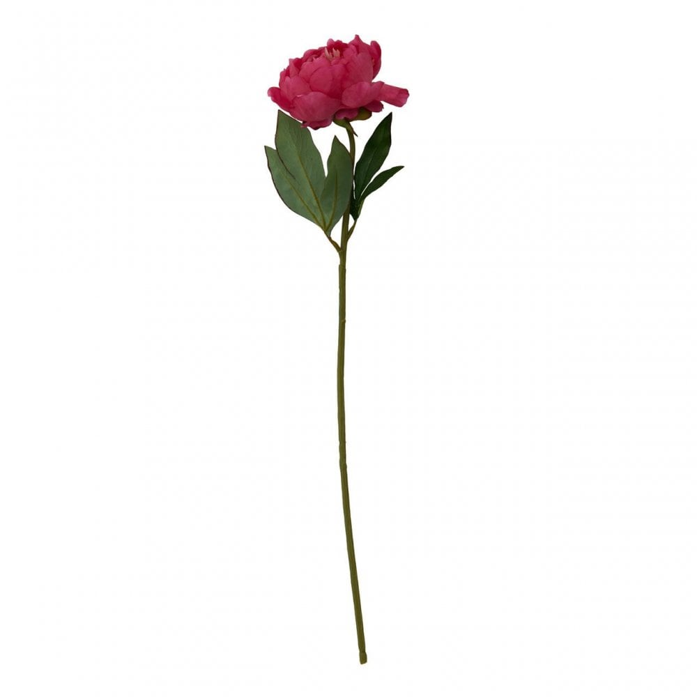 Fiori Peony Stem Fuchsia Flower - 65Cm