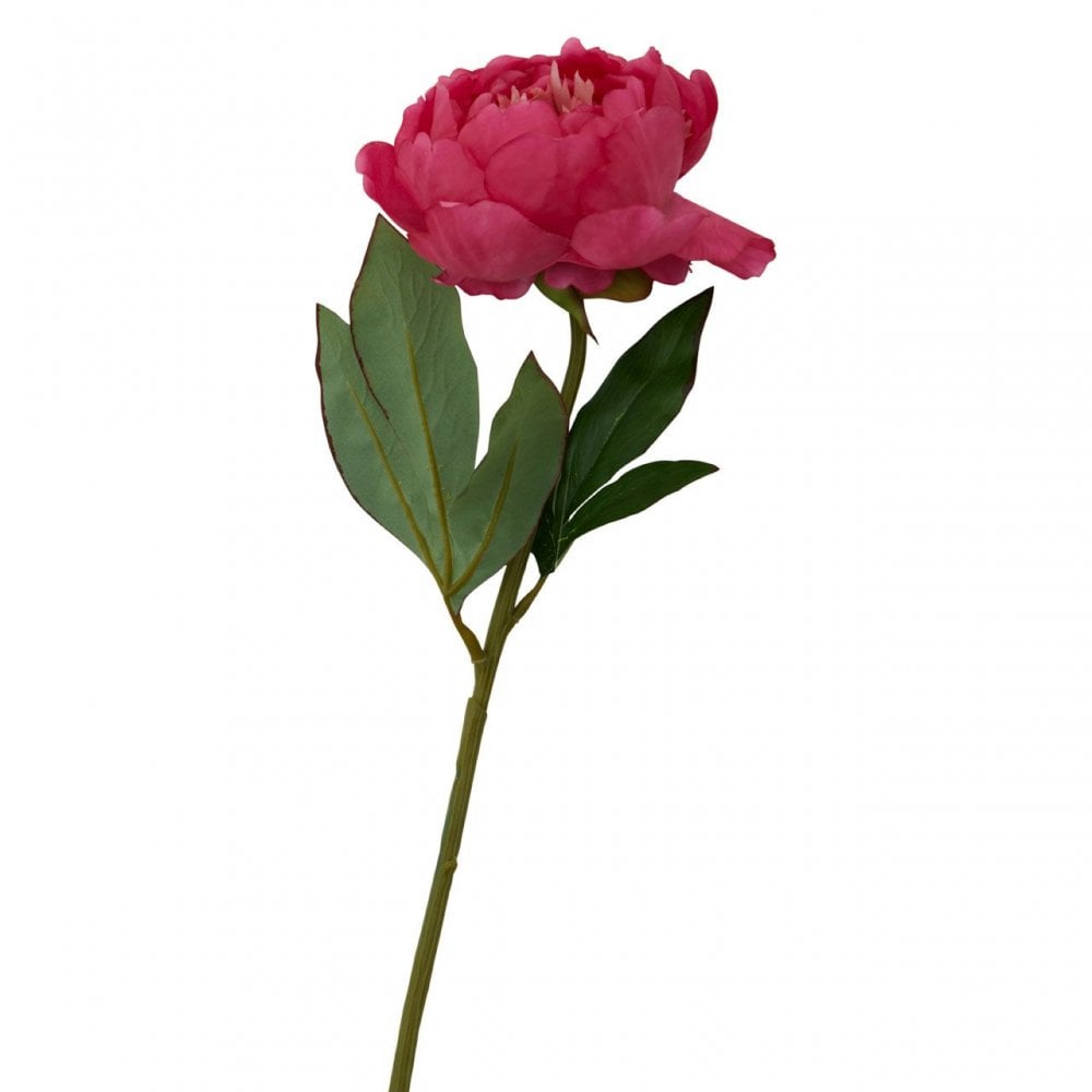 Fiori Peony Stem Fuchsia Flower - 65Cm