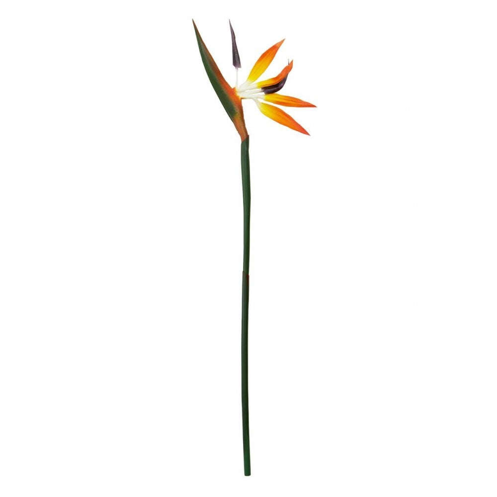 Fiori Bird Of Paradise - 92Cm