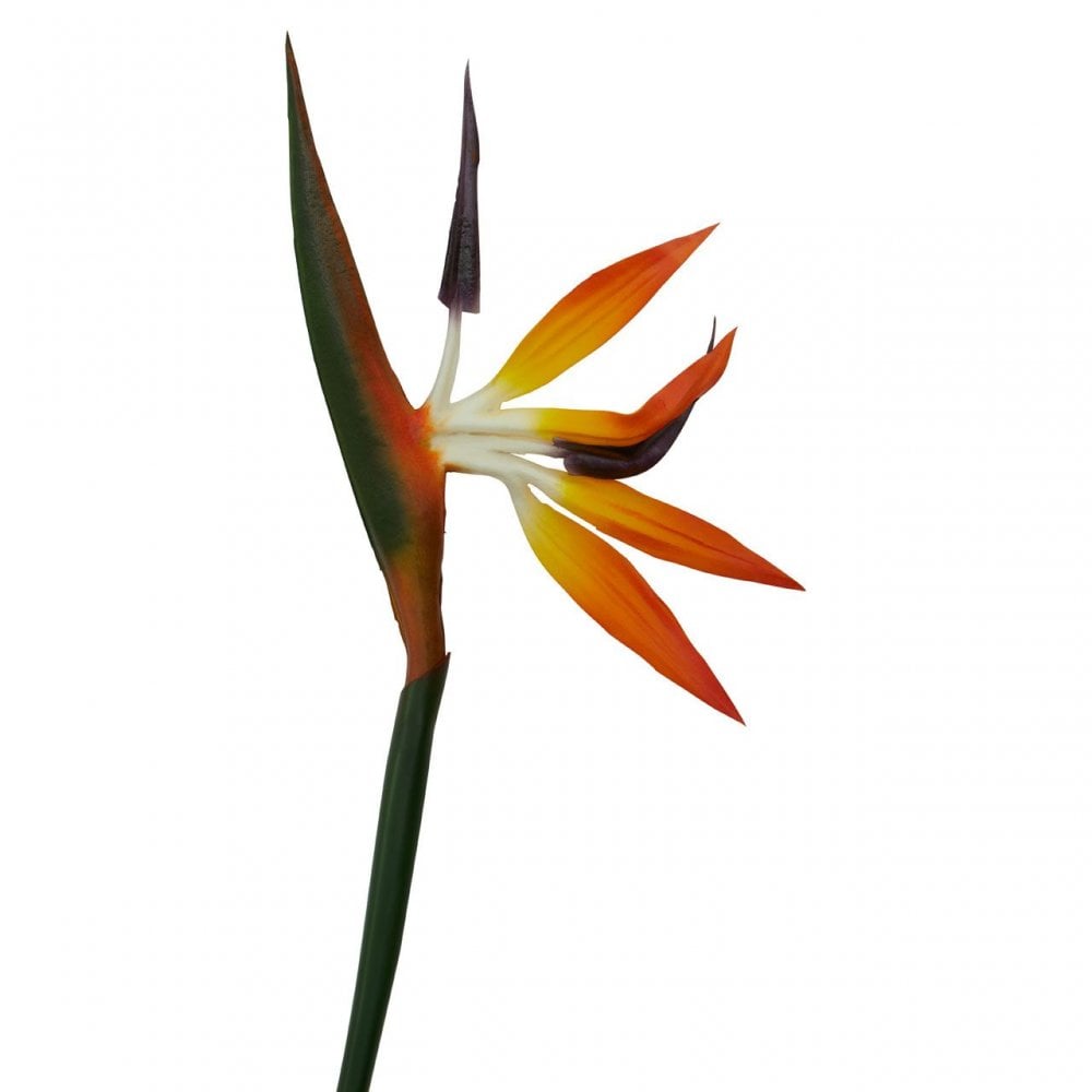 Fiori Bird Of Paradise - 92Cm