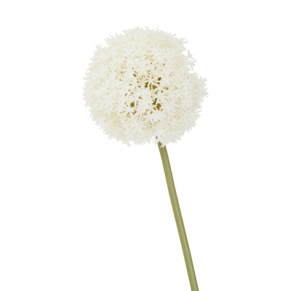 Fiori Allium Stem Ivory Flower - 72Cm