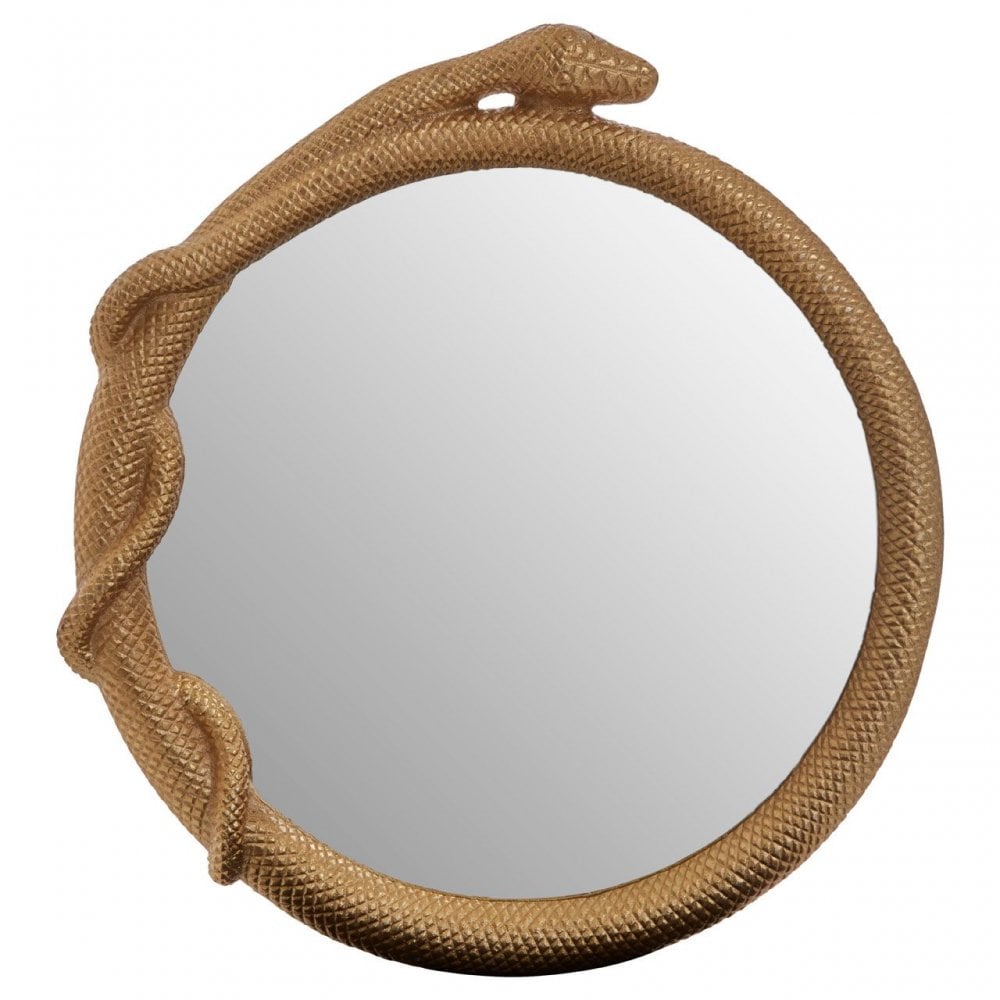 Serpent Wall Mirror