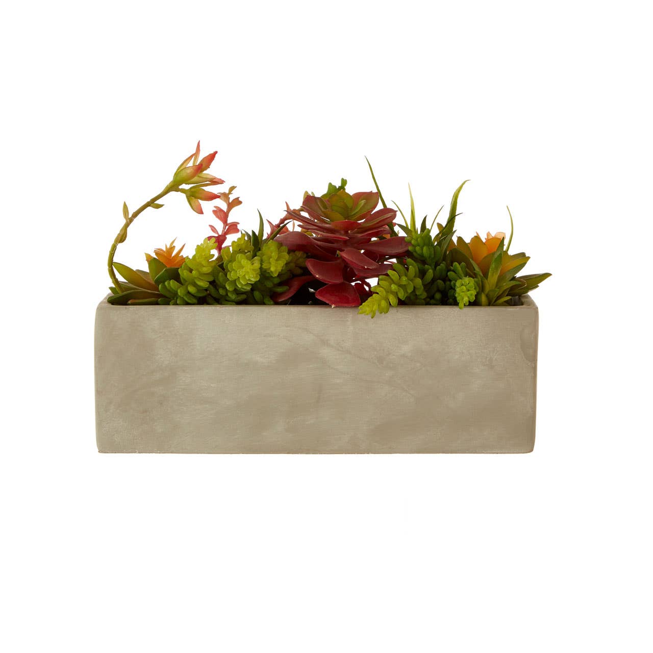 Fiori Mixed Succulents With Cement Pot