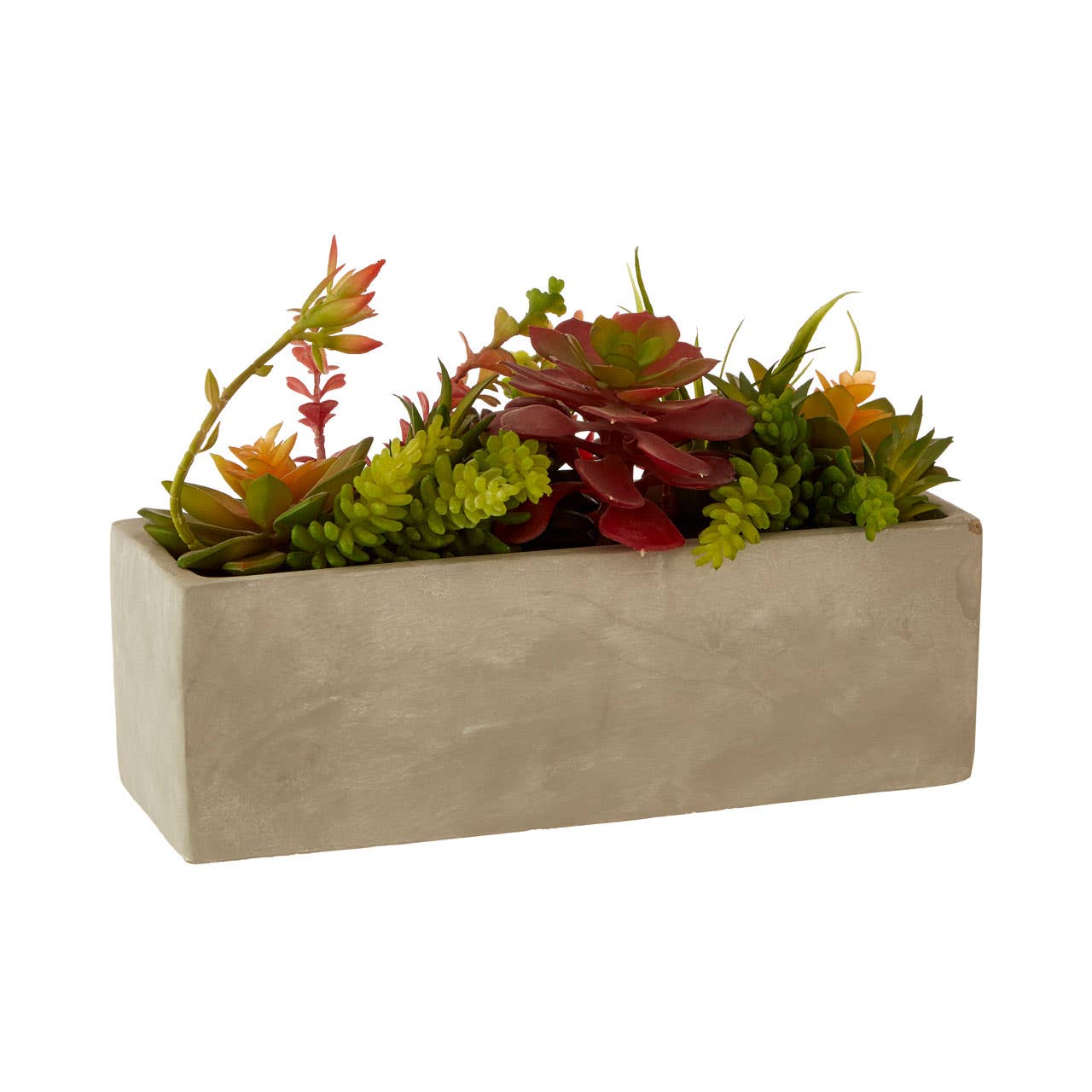 Fiori Mixed Succulents With Cement Pot