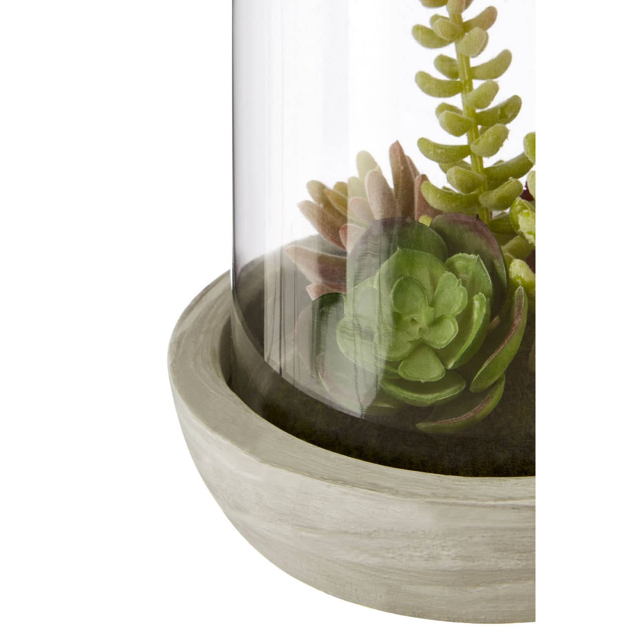 Fiori Large Succulent Dome Cement Base