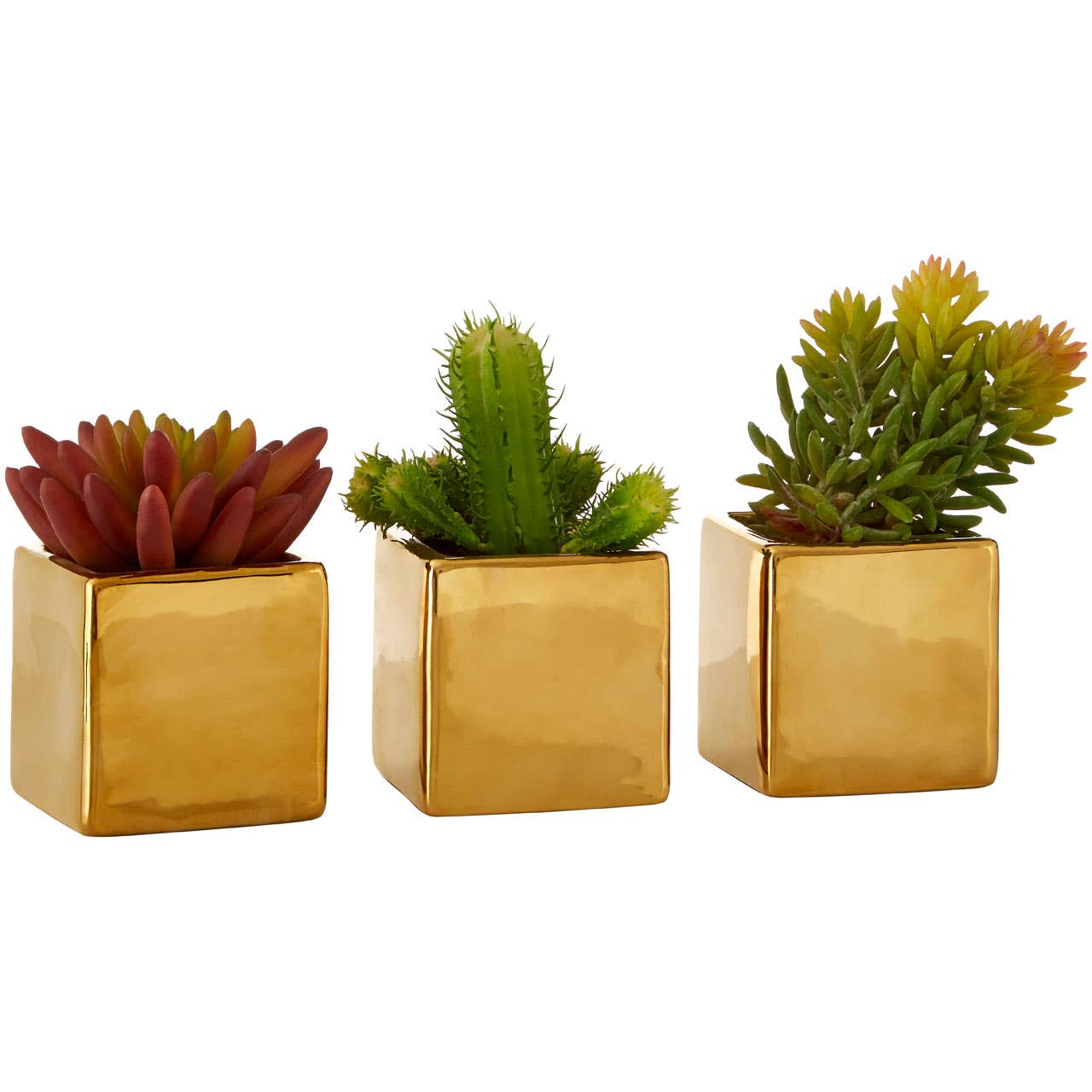 Mini Succulents Fiori With Gold Pot -  Set Of 3