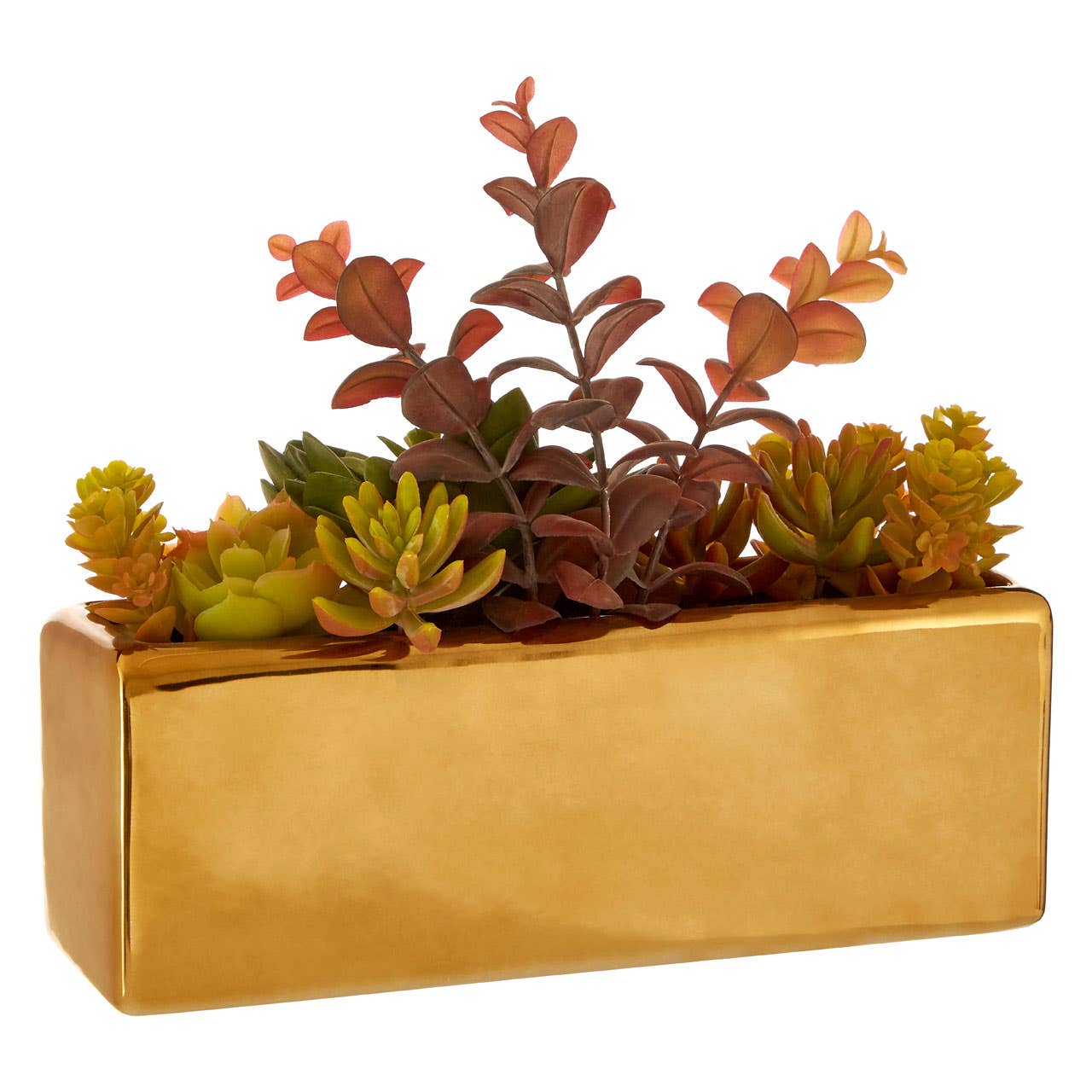 Mixed Succulents Fiori With Ceramic Gold Pot