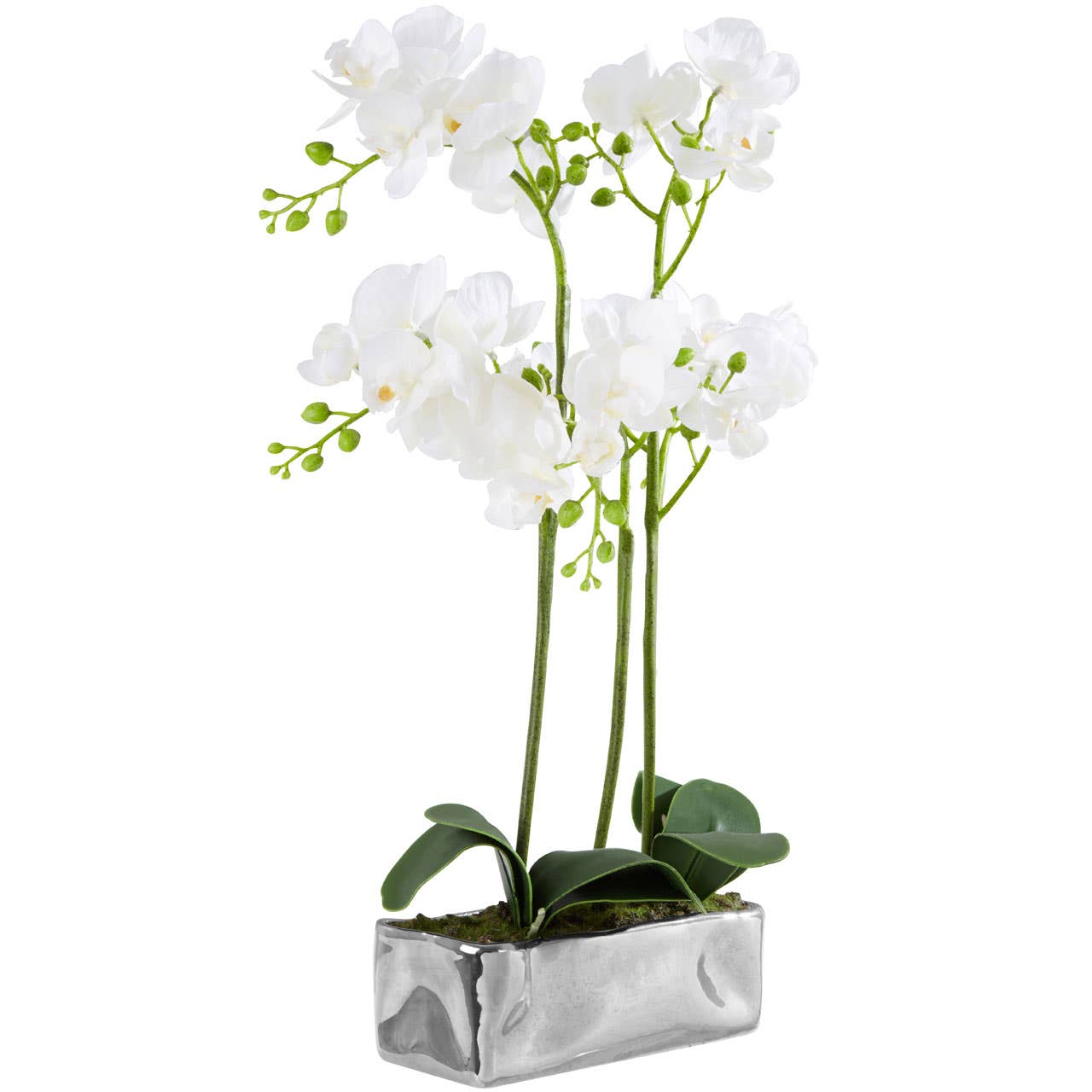 Fiori White Orchid Plant / Silver Finish Pot