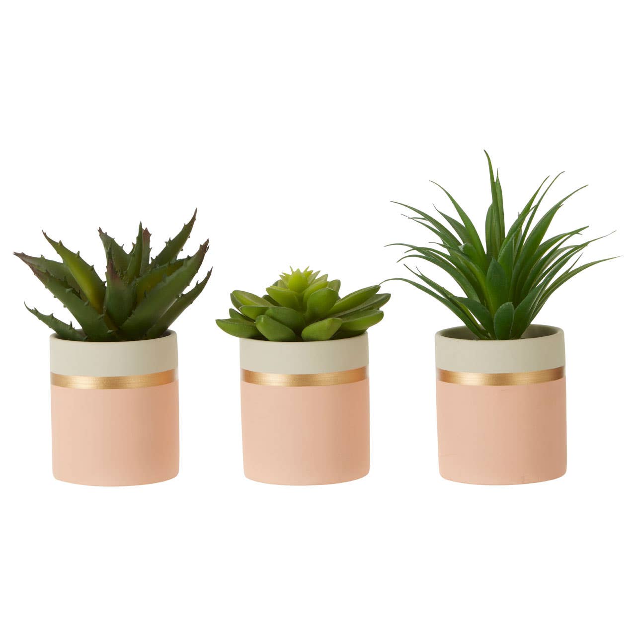 Fiori Set Of 3 Pink Pot Succulents