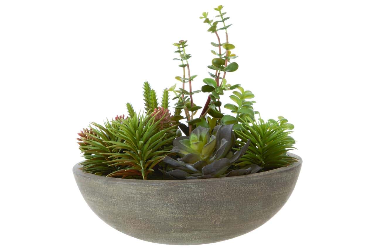 Fiori Stone Effect Pot Mixed Succulent