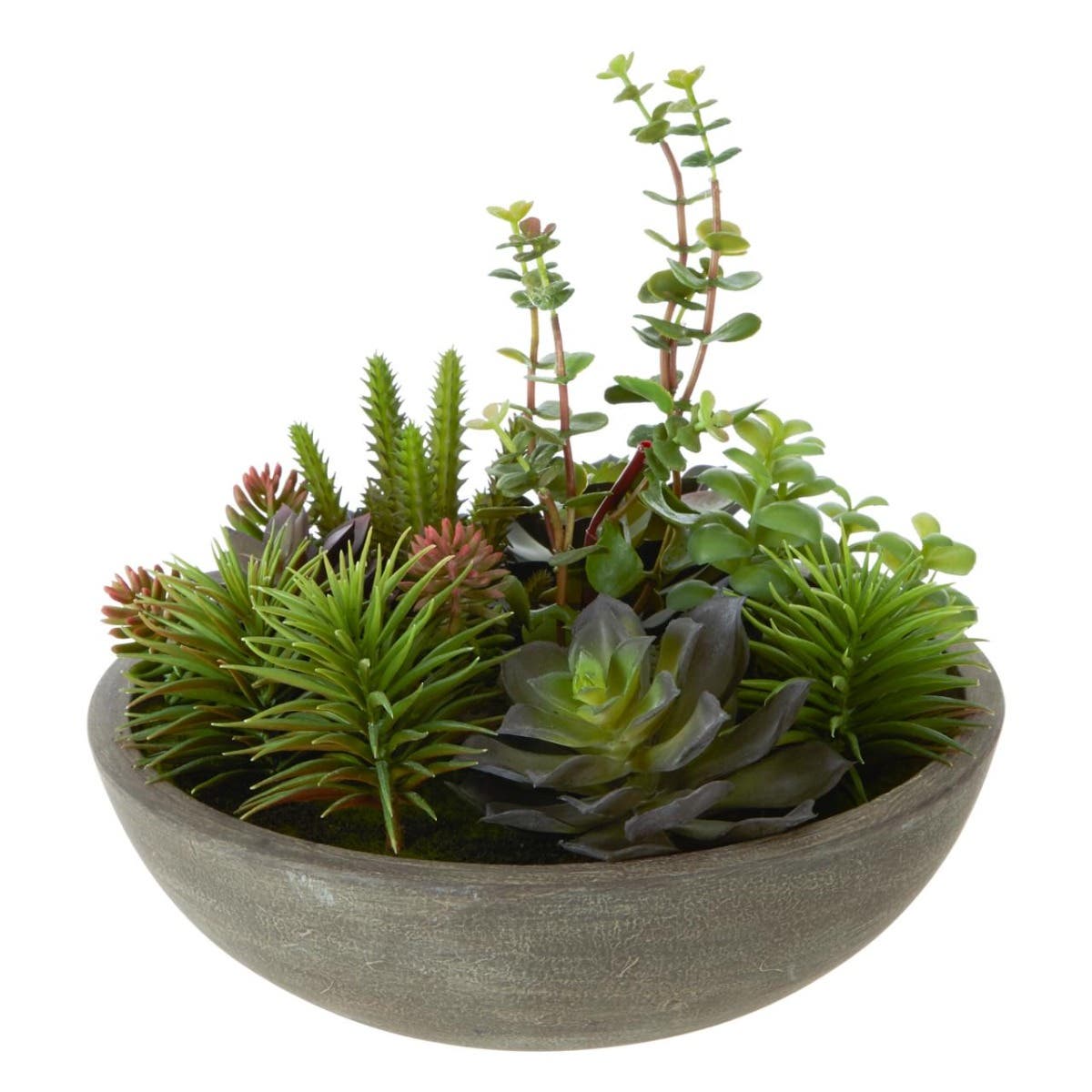 Fiori Stone Effect Pot Mixed Succulent