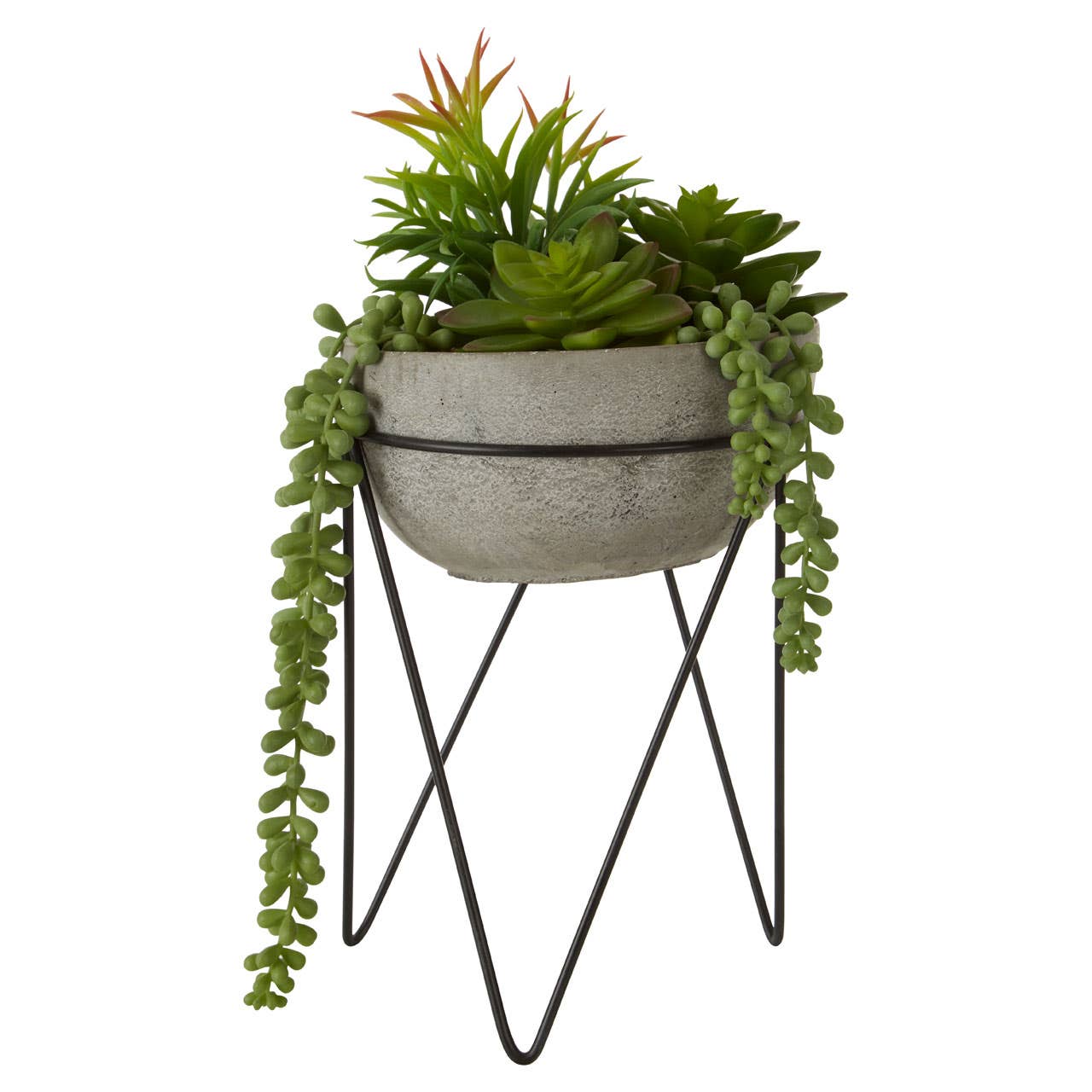 Fiori Mixed Succulent With Metal Stand